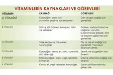 A Vitamini Görevleri Nelerdir? A Vitamini Görevleri Nelerdir?